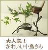��Ļ�Υ��饹�١���