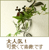 ���� �ɳݤ��ե��١������ߥ�