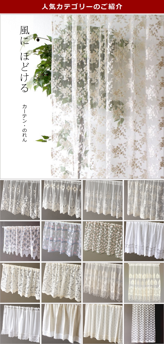 人気カテゴリー