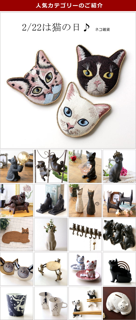 人気カテゴリー