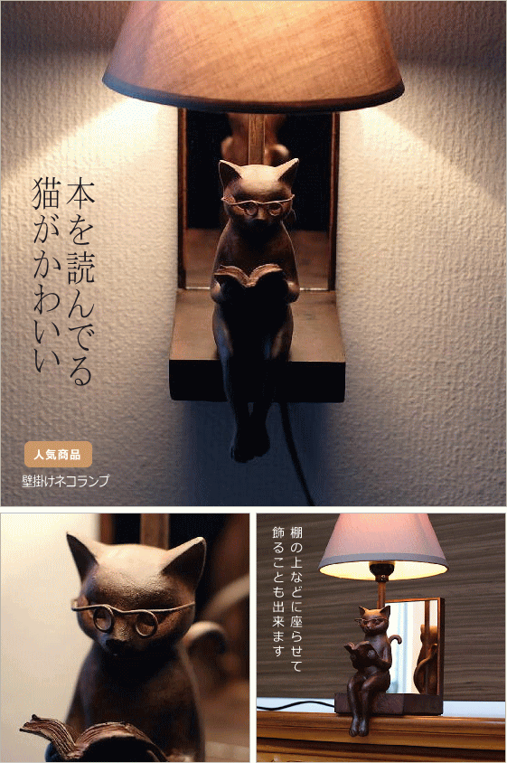 人気商品