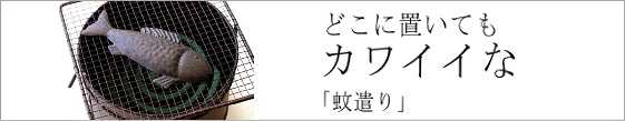 蚊遣り