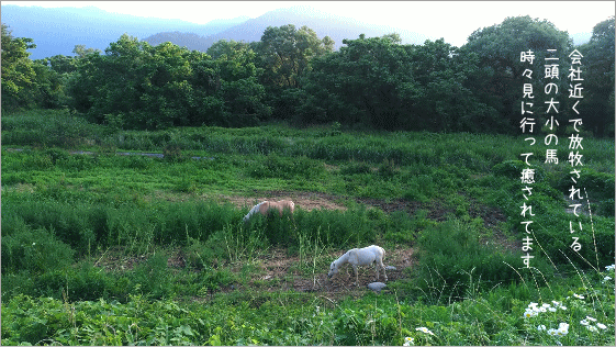 ツチヤ画像