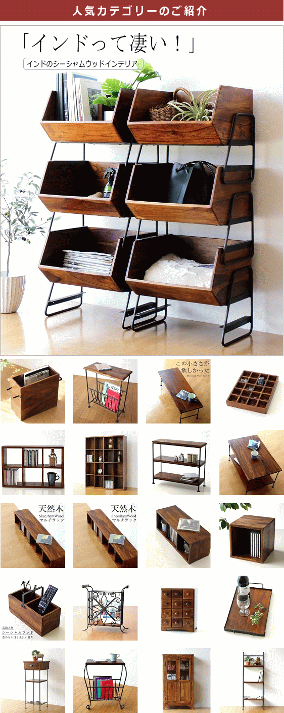 人気カテゴリー