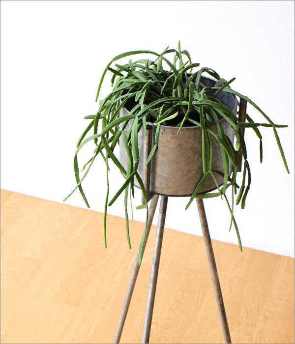 ブリキポットのレッグスタンド(1)