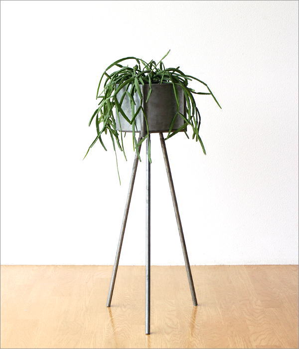 ブリキポットのレッグスタンド(2)