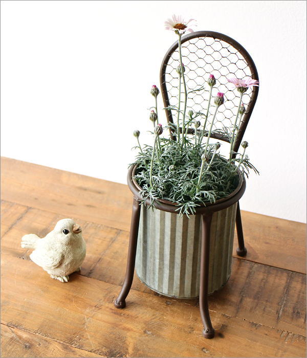 ブリキチェアーポット(1)