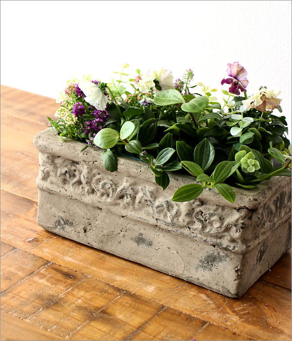 植木鉢 プランター 陶器 おしゃれ アンティーク シャビー 寄せ植え 花