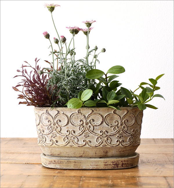 レトロなプランターポット クララ(2)