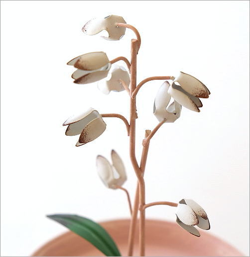 メタルオーキッドのアクセサリートレイ(2)