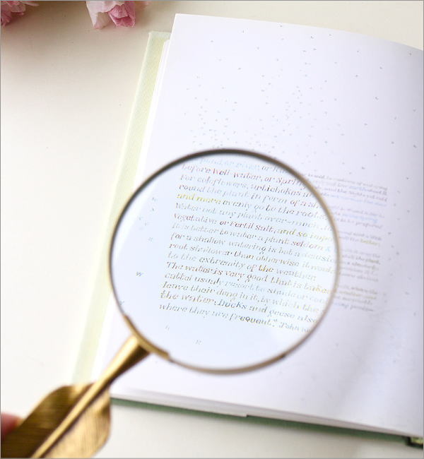 ブラス ルーペ フェザー(2)