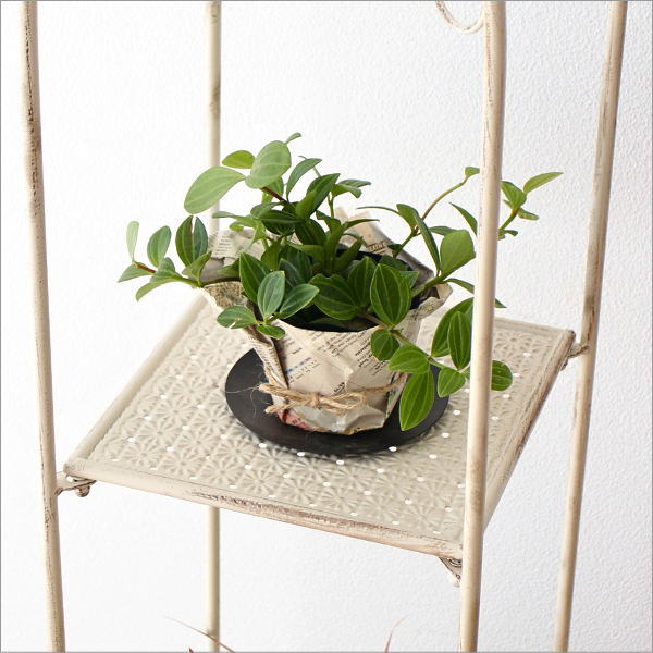 シャビーなホワイトアイアンの3段棚(3)