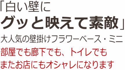 白い壁にグッと映えて素敵、部屋でも廊下でも、トイレでもまたお店にもオシャレになります