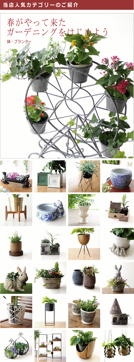 鉢・プランター