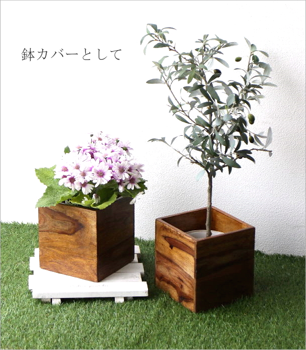 CDボックス(7)