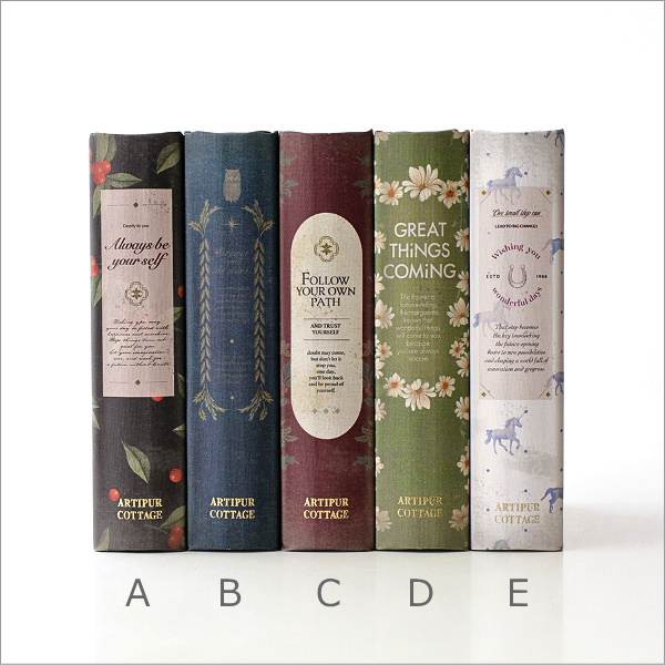 ブックボックス(6)