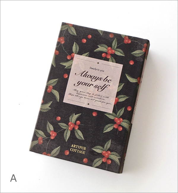 ブックボックス(7)