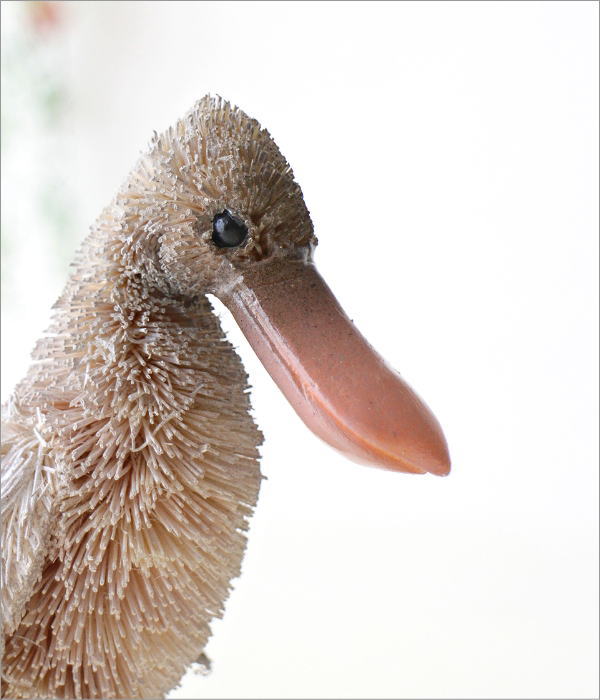 たわしアニマル ハシビロコウ(2)