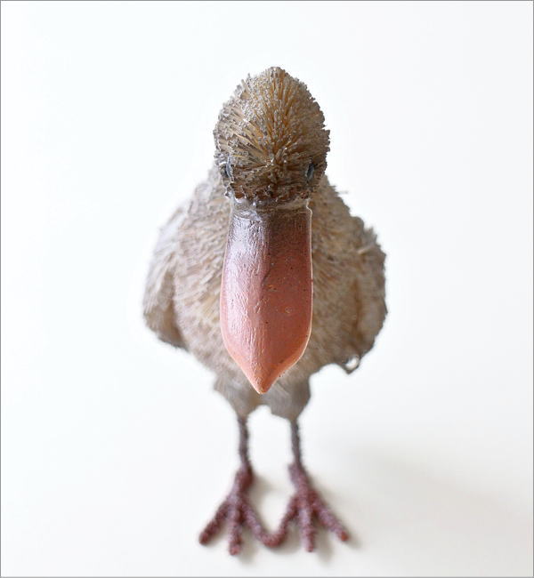 たわしアニマル ハシビロコウ(3)