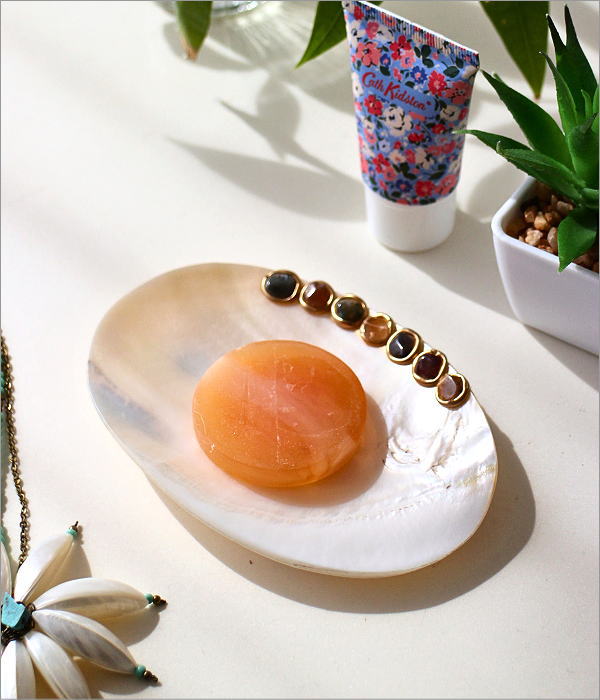 ナチュラルなシェルのソープディッシュ B(1)