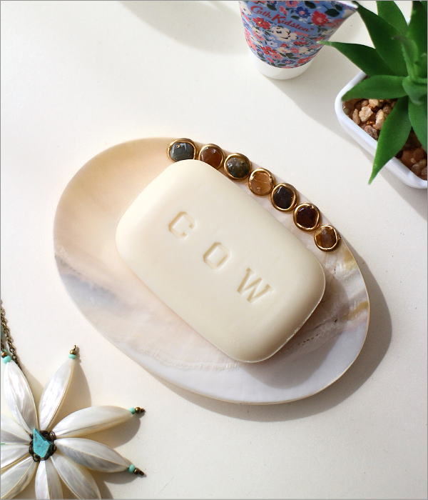 ナチュラルなシェルのソープディッシュ B(2)