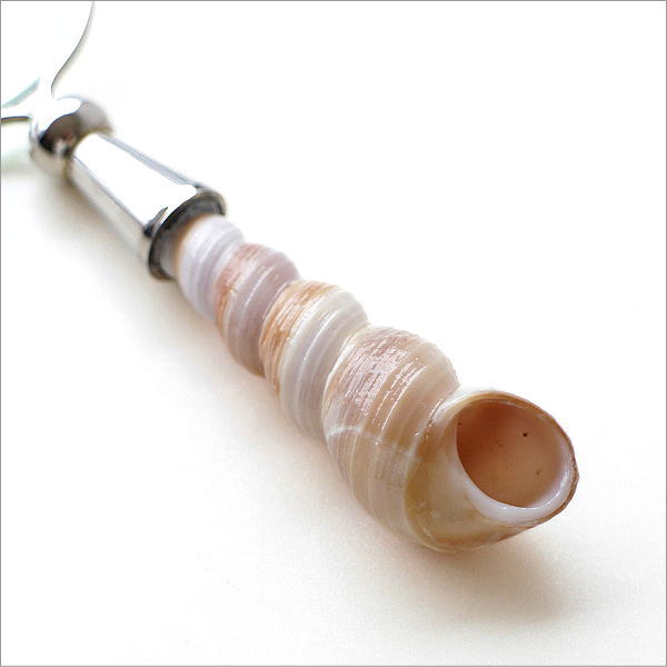 シェルの小さなルーペ(4)"