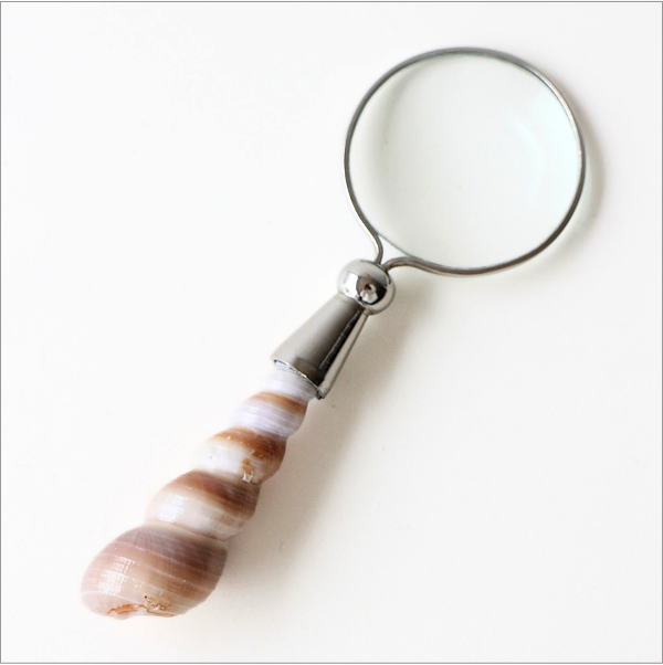 シェルの小さなルーペ(5)"