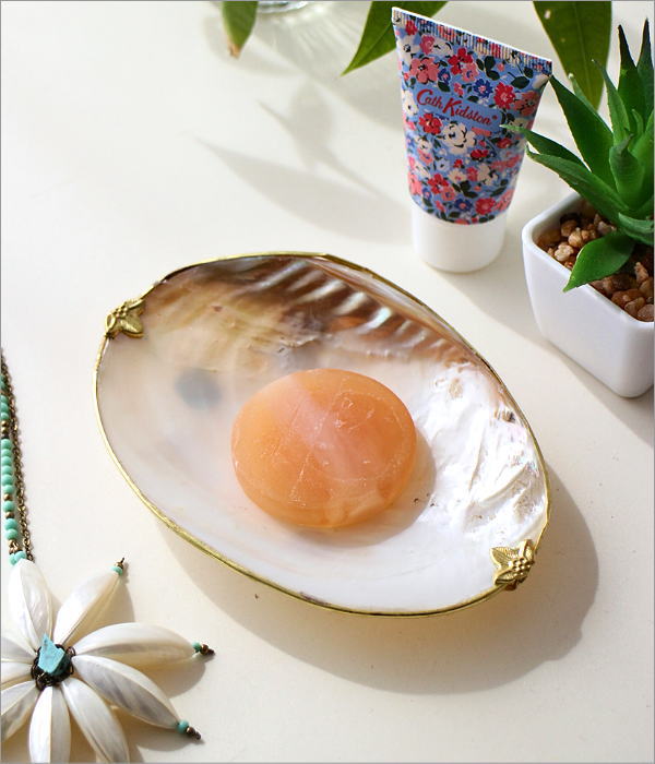 ナチュラルなシェルのソープディッシュ A(1)