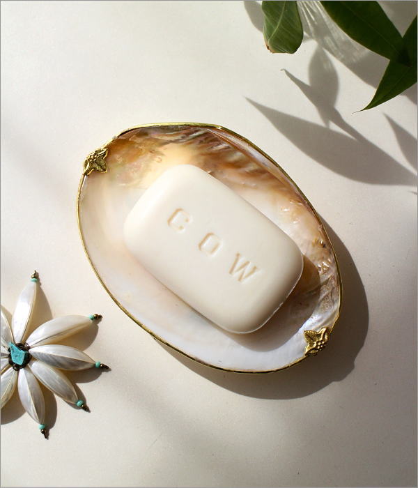 ナチュラルなシェルのソープディッシュ A(2)