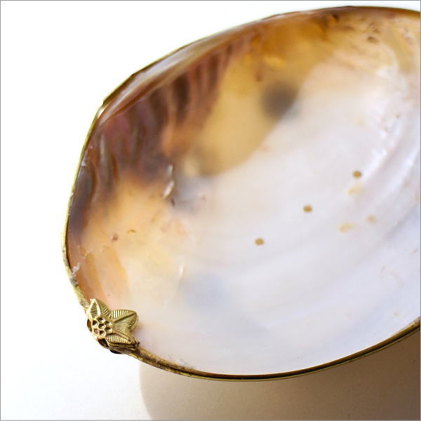 ナチュラルなシェルのソープディッシュ A(3)