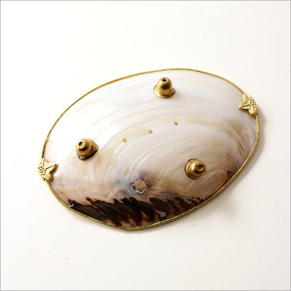 ナチュラルなシェルのソープディッシュ A(4)