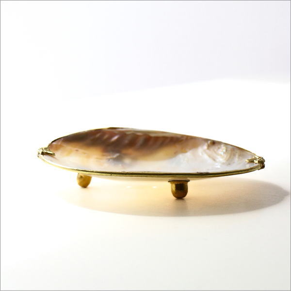 ナチュラルなシェルのソープディッシュ A(5)