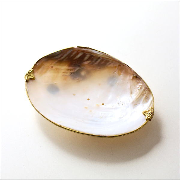 ナチュラルなシェルのソープディッシュ A(6)