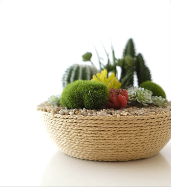 CT触媒付フェイクカクタスの寄せ植え A(1)