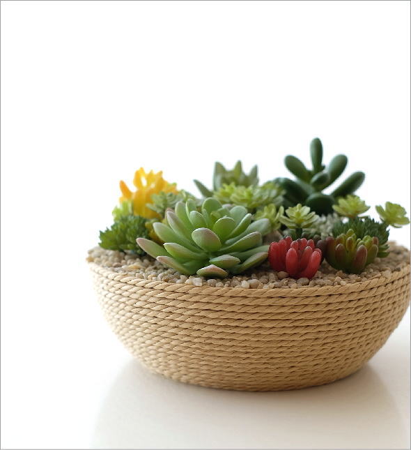 CT触媒付フェイクカクタスの寄せ植え B(1)