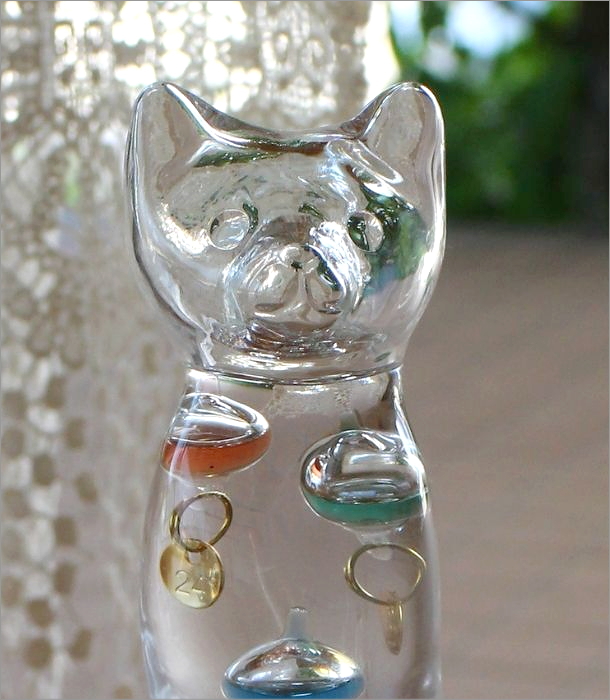 ガレリオ温度計 Cat(2)