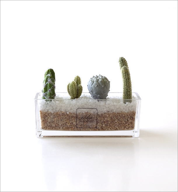 フェイクの寄せ植えC(3)