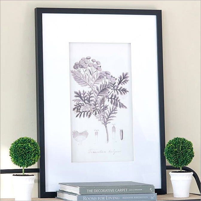 アートパネル 植物 自然 50×70cm 4枚セット モダン 壁飾り