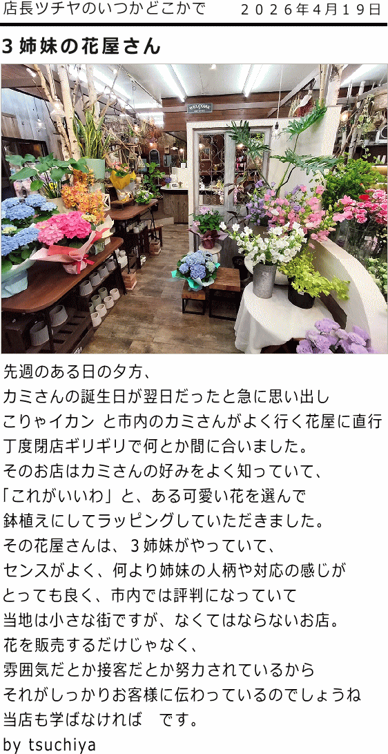 ツチヤ画像