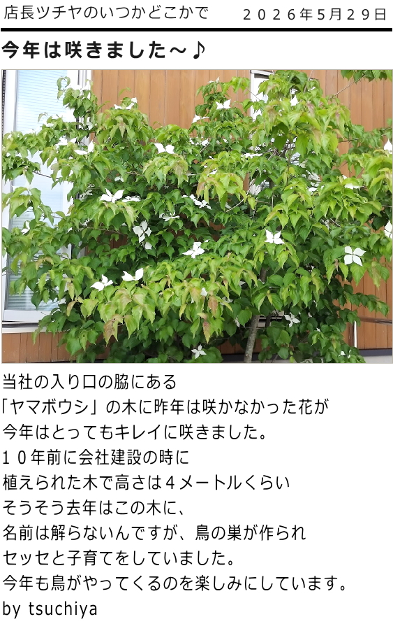 ツチヤ画像