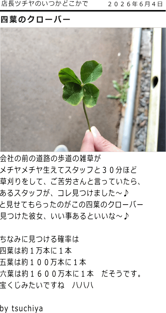 ツチヤ画像