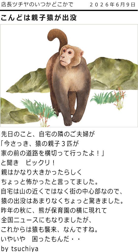 ツチヤ画像