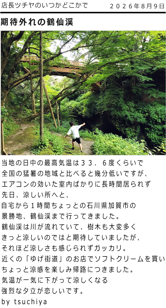 ツチヤ画像