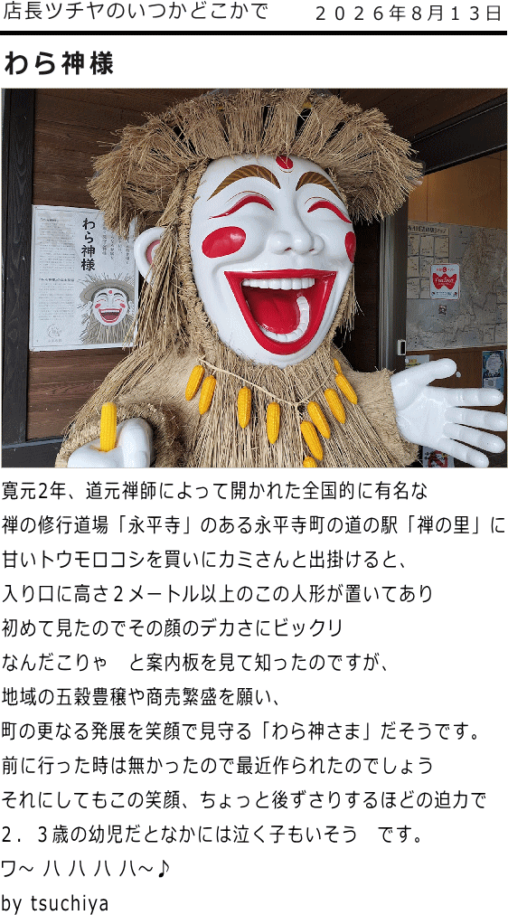 ツチヤ画像