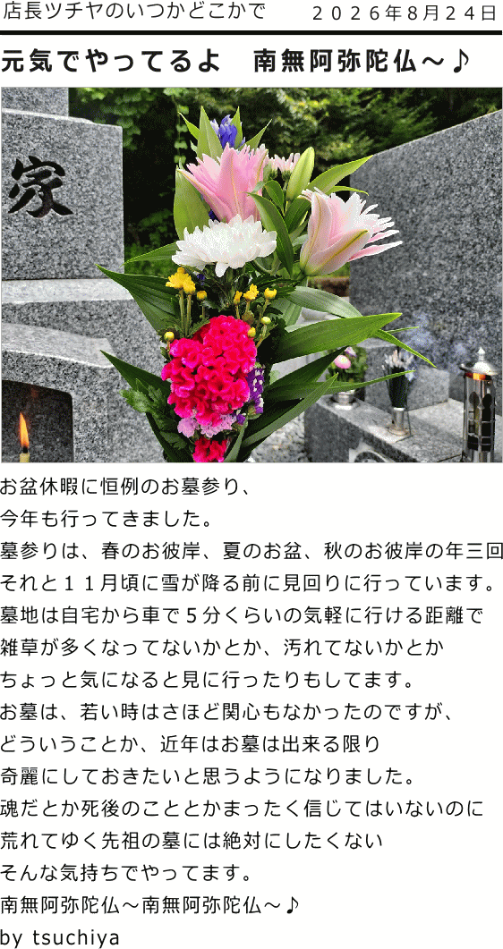 ツチヤ画像
