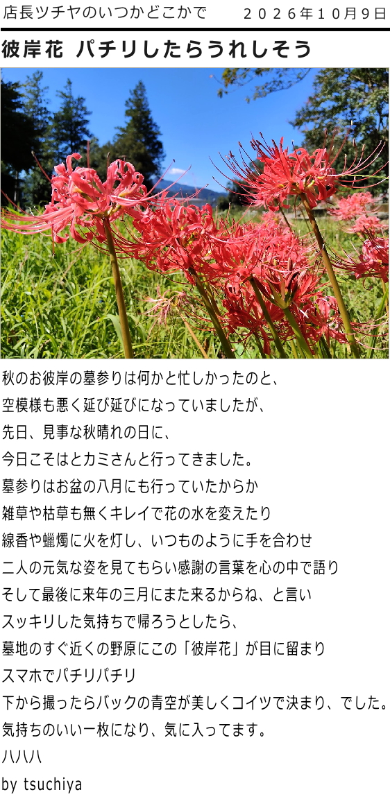 ツチヤ画像
