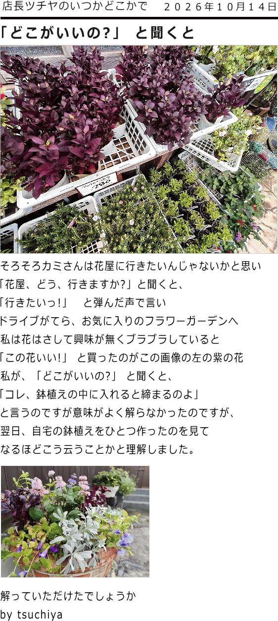 ツチヤ画像