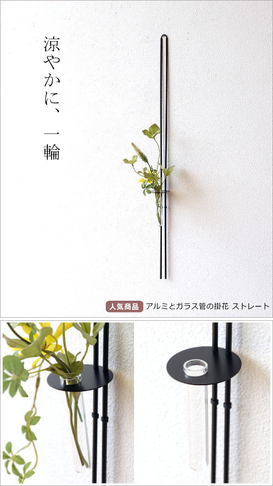 人気商品