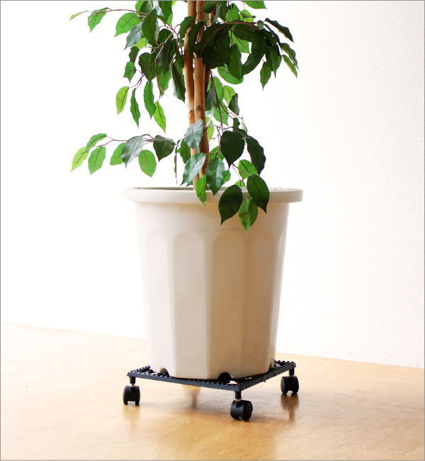 アイアンプラントキャリー スクエア(3)