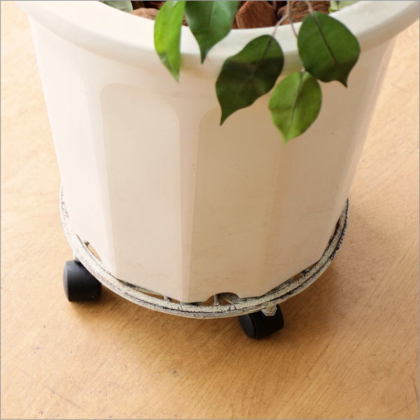 アイアンプラントキャリー サークル(2)